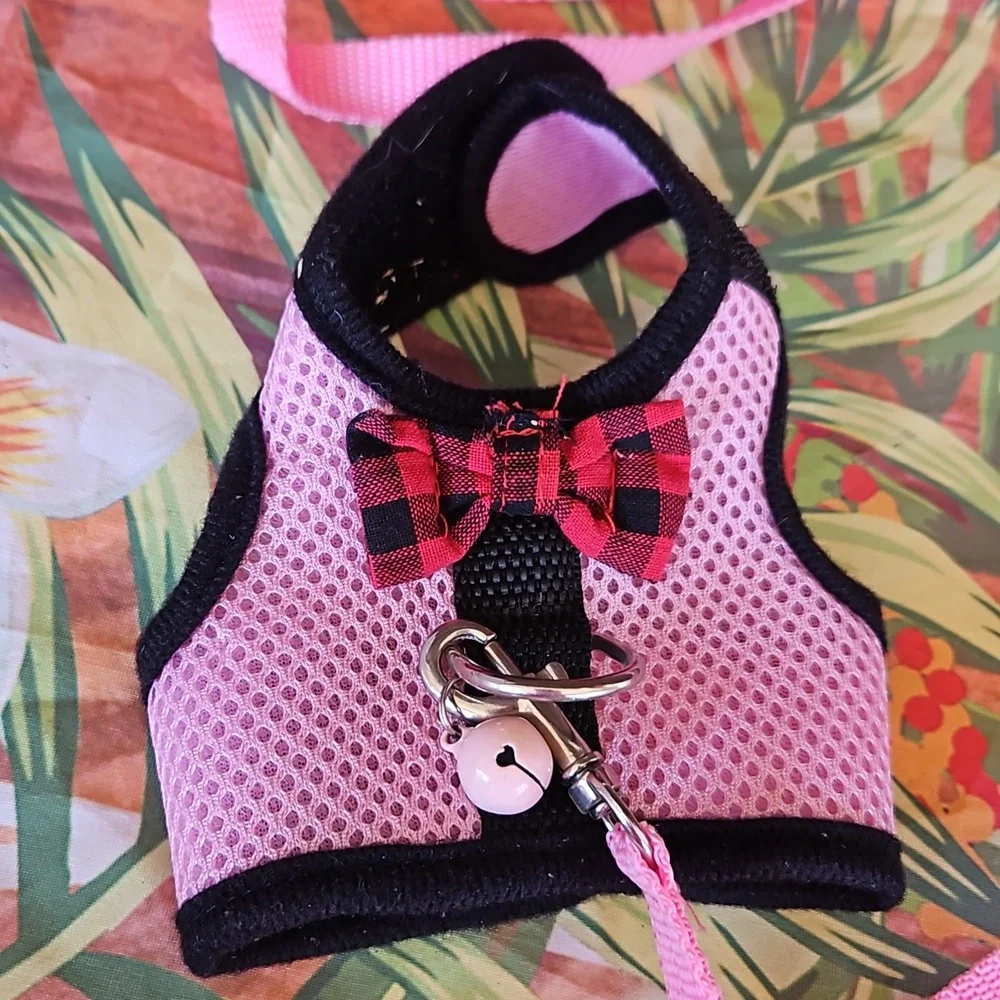 A1) Small cat harness